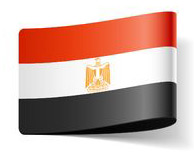 Egypt Flag 194